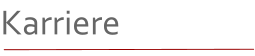 Karriere